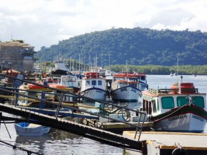 Transporte Aquaviário em Paranaguá 